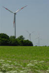 New Windmills 
