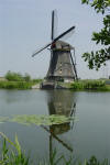 Mill and Lily Pads