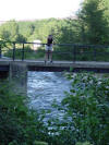 Cat on Bridge