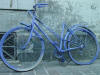 Blue Bike