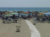 Marbella Beach 