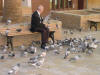 The Pigeon Man