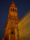 Cathedral at Night