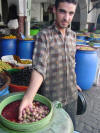 Curing Olives