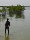 Swimming Boy