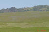 Hearst Castle on the Hillside