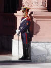 Palace Guard