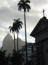 Palms & Cristo