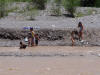 Muddy Swim