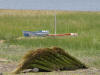 Reed Bundles