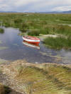 Reeds & Boat