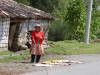 Drying Corn