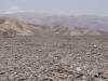 Nazca Plain