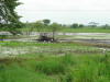 Tractor in Mud