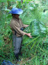 Jungle back pack