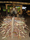 Cane Press