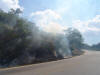 Fire on Road
