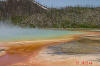 Grand Prismatic Spring