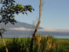 Morning on the Lake