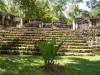 Grassy Stairs