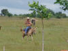 Cowboy on Donkey