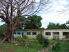 Old Tree & House