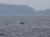 Couple in Boat