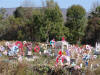 Christmas Cemetery 