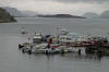 Narsaq Harbor 