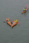 NZ Kayakers 