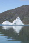 Reflections in Ice Water 