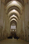 Cat in the Cathedral 