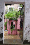 Pink Patio 