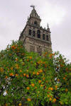 Valencias and Spire 