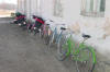 Line o' Bikes 