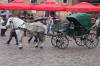 Pony on Cobbles 