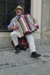 Accordion Man 